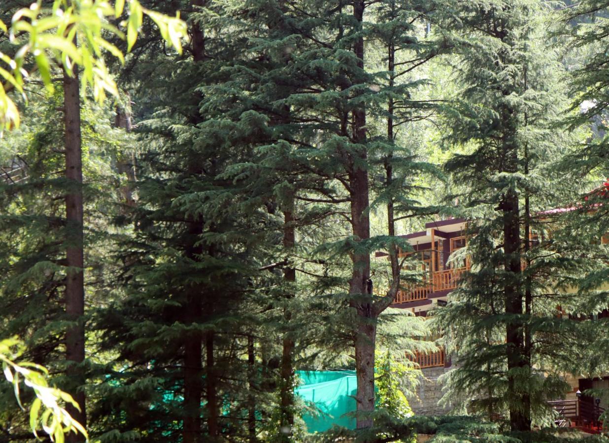 Ferienwohnung The Himalayan Heaven Jibhi Exterior foto